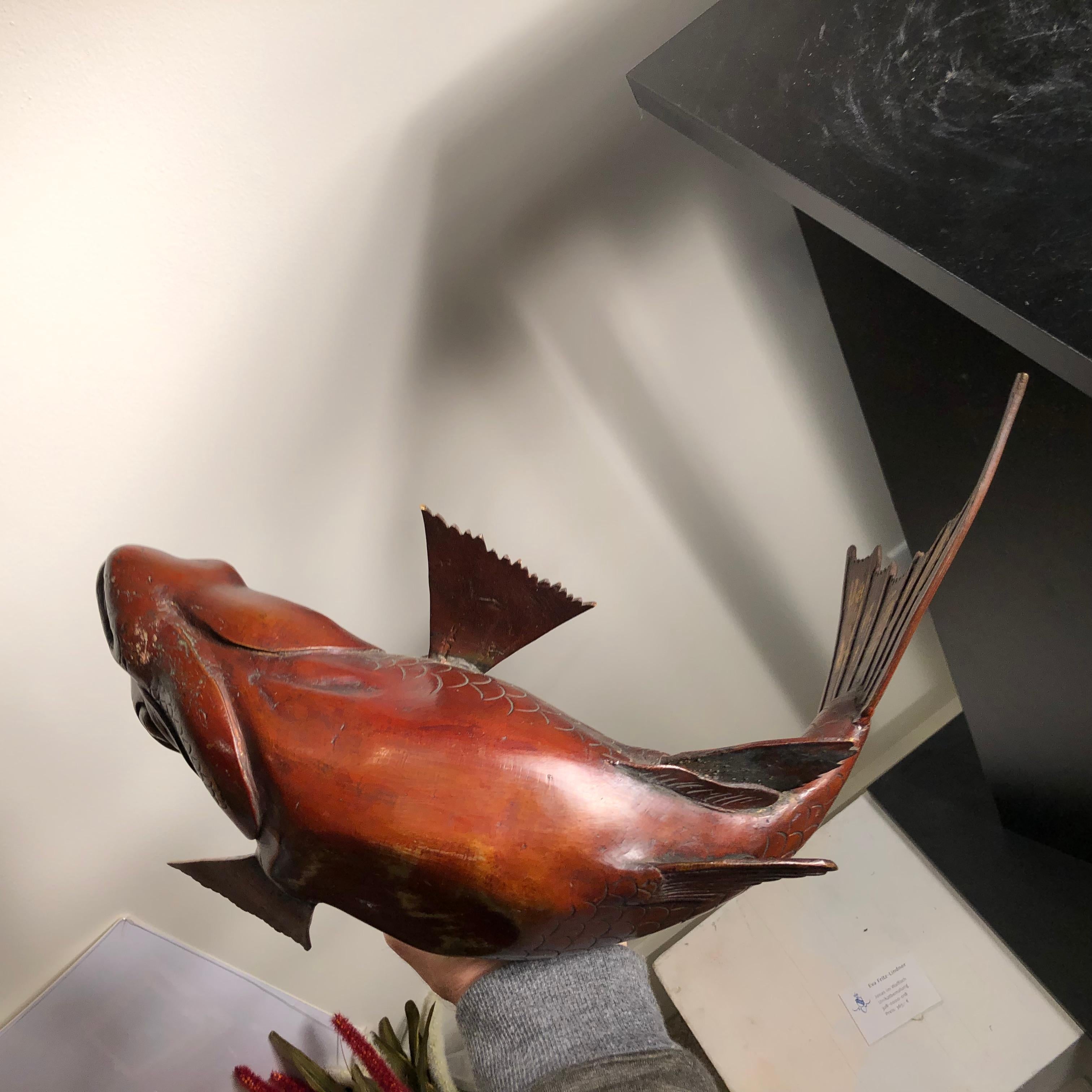 Japanese Huge Antique  Bronze Koi Trophy Fish -Gold Gilt, Good Fortune 7