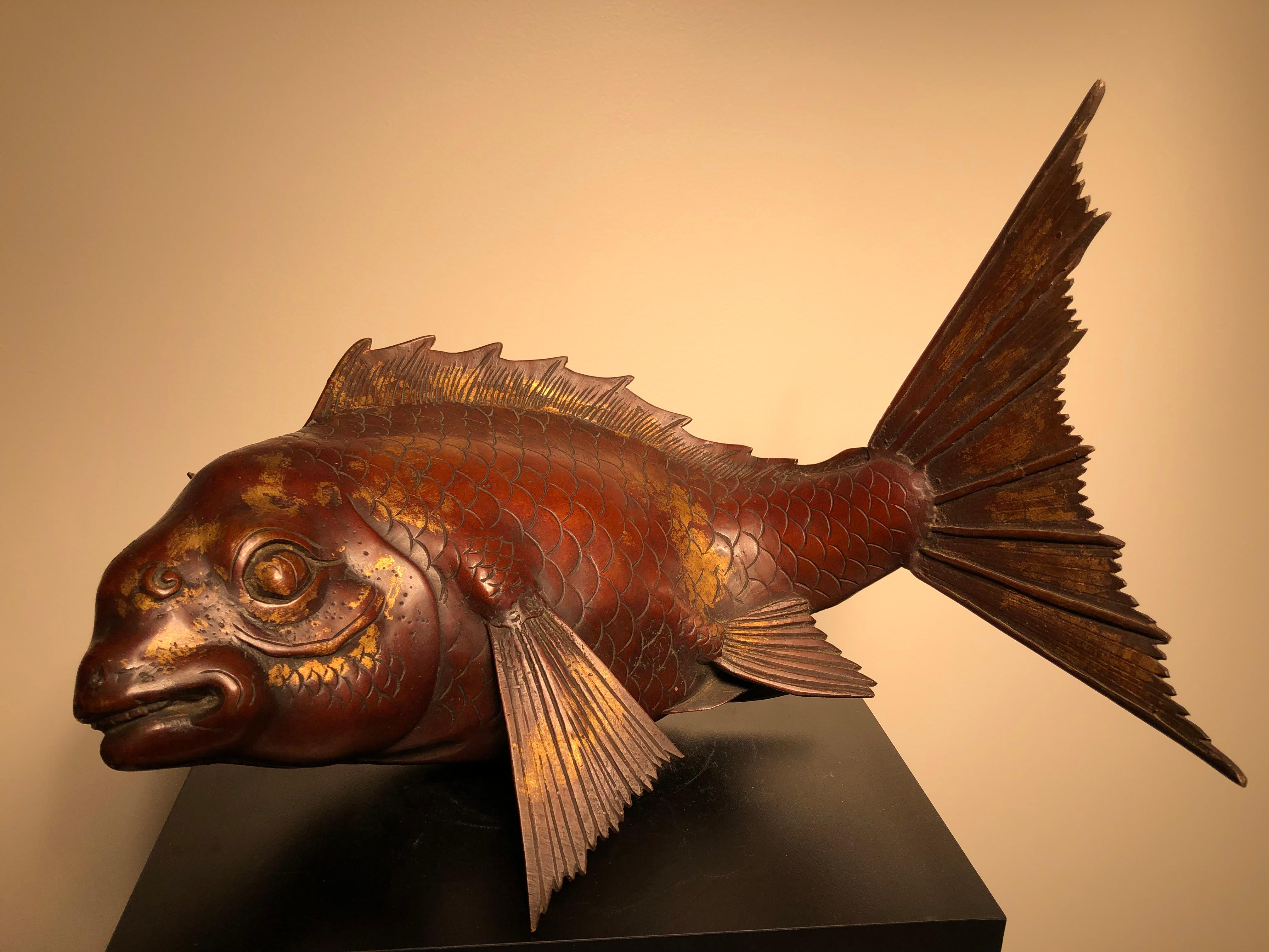 Japanische Riesige Antike Bronze Koi Trophäe Fisch -Gold vergoldet:: Glücksbringer (Meiji-Periode)