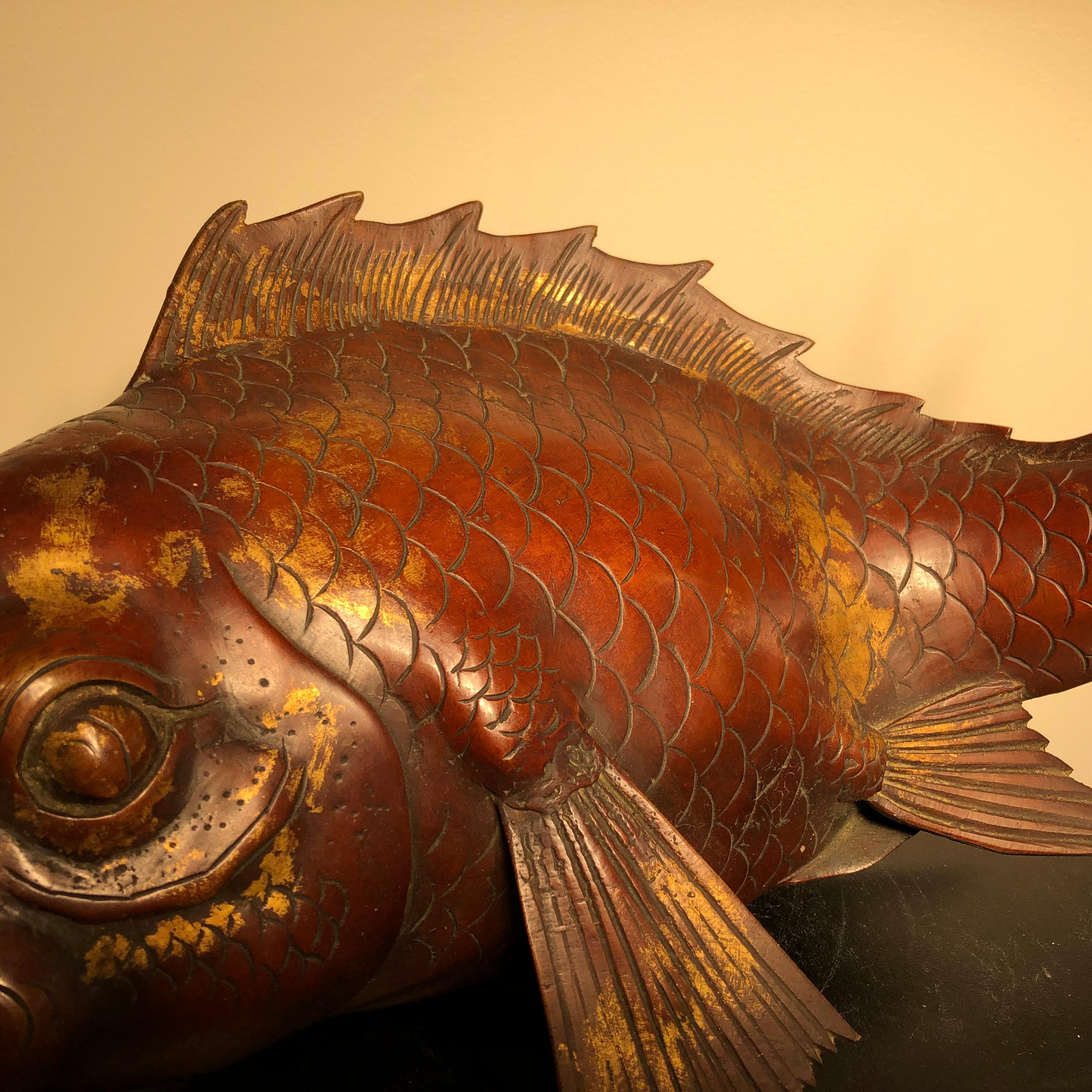 Cast Japanese Huge Antique  Bronze Koi Trophy Fish -Gold Gilt, Good Fortune