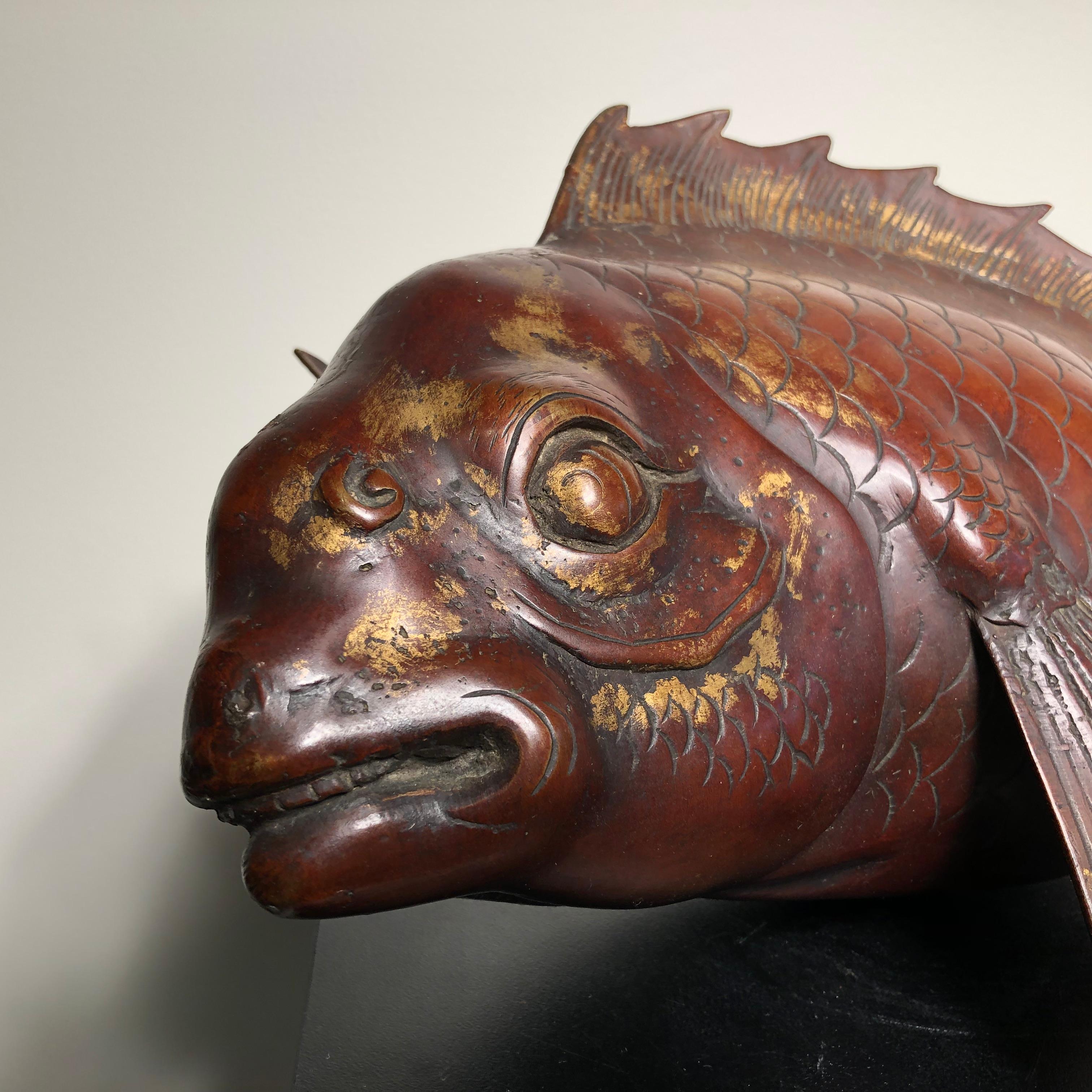 Japanese Huge Antique  Bronze Koi Trophy Fish -Gold Gilt, Good Fortune In Good Condition In South Burlington, VT