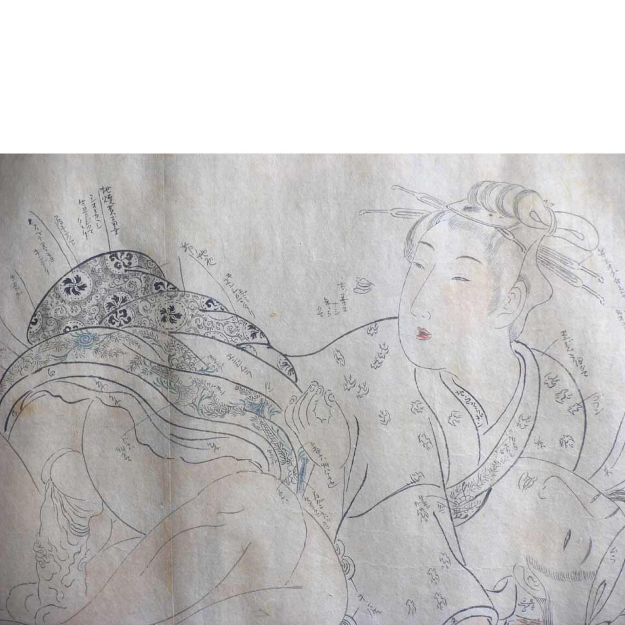 Meiji Japanese Ink on Paper Wood Block Shunga Artist’s Color and Pattern Illustration For Sale