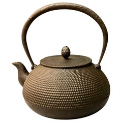 Antique Japanese Iron Teapot