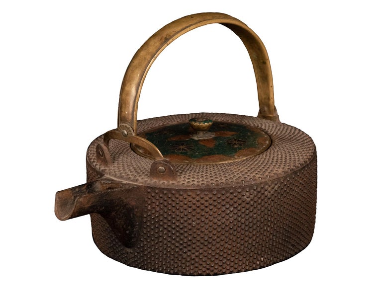 Japanese Iron Tetsubin Teapot with Cloisonné Lid at 1stDibs