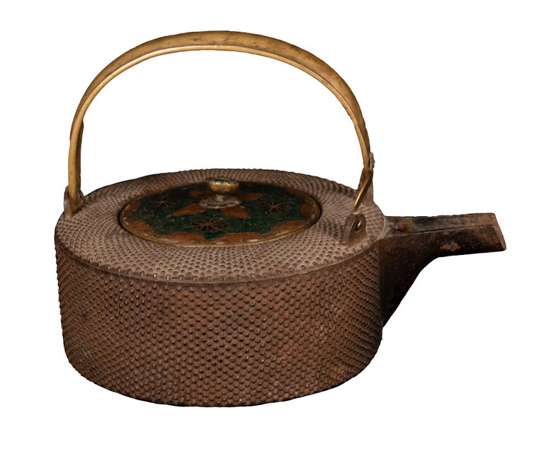 Japanese Iron Tetsubin Teapot with Cloisonné Lid at 1stDibs