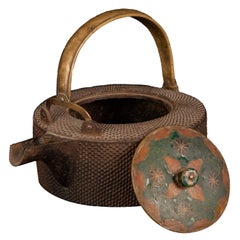 Japanese Iron Tetsubin Teapot with Cloisonné Lid