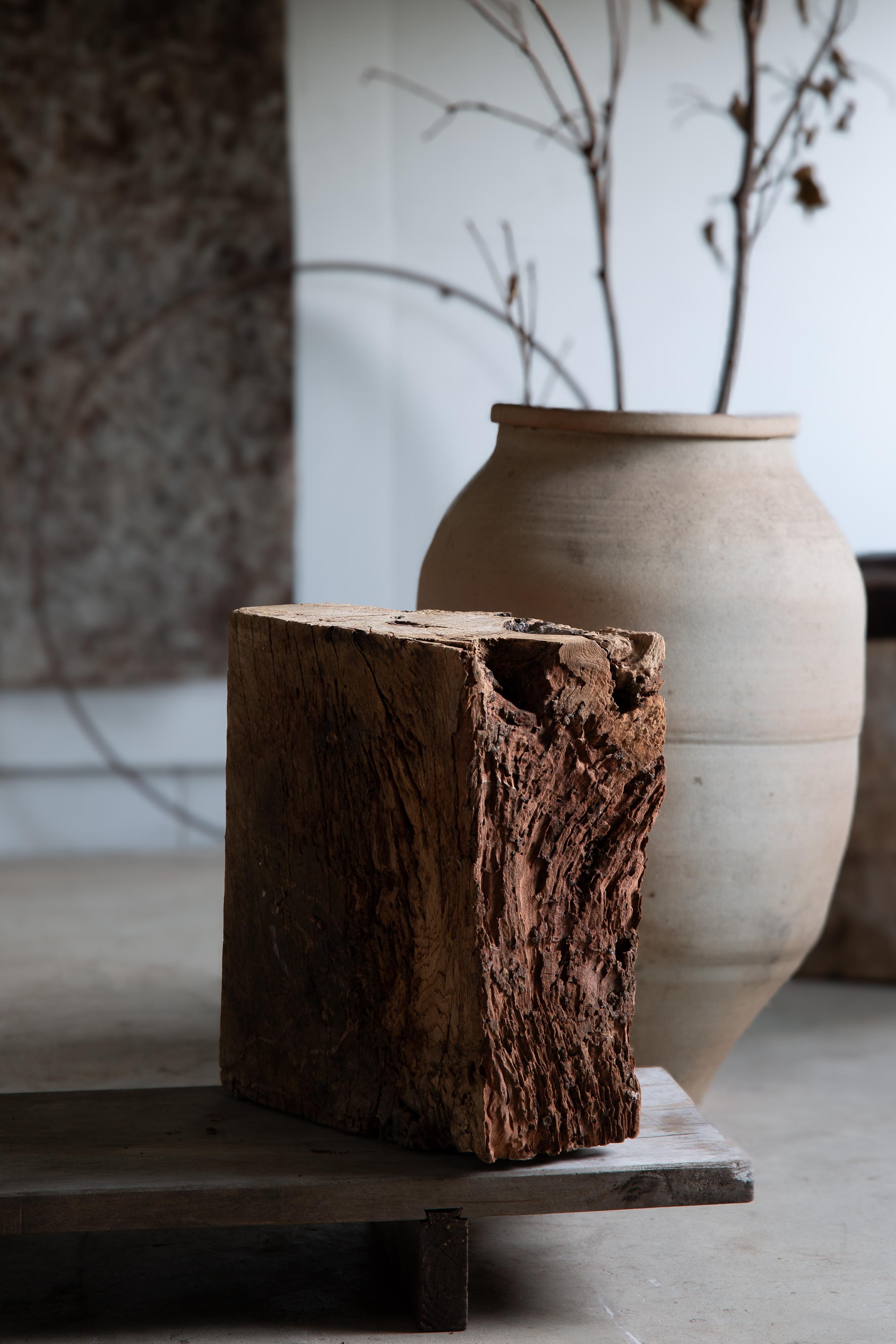 Japanese Keyaki zelkova wood slab - wabi sabi art piece objet, Dai display stand 5