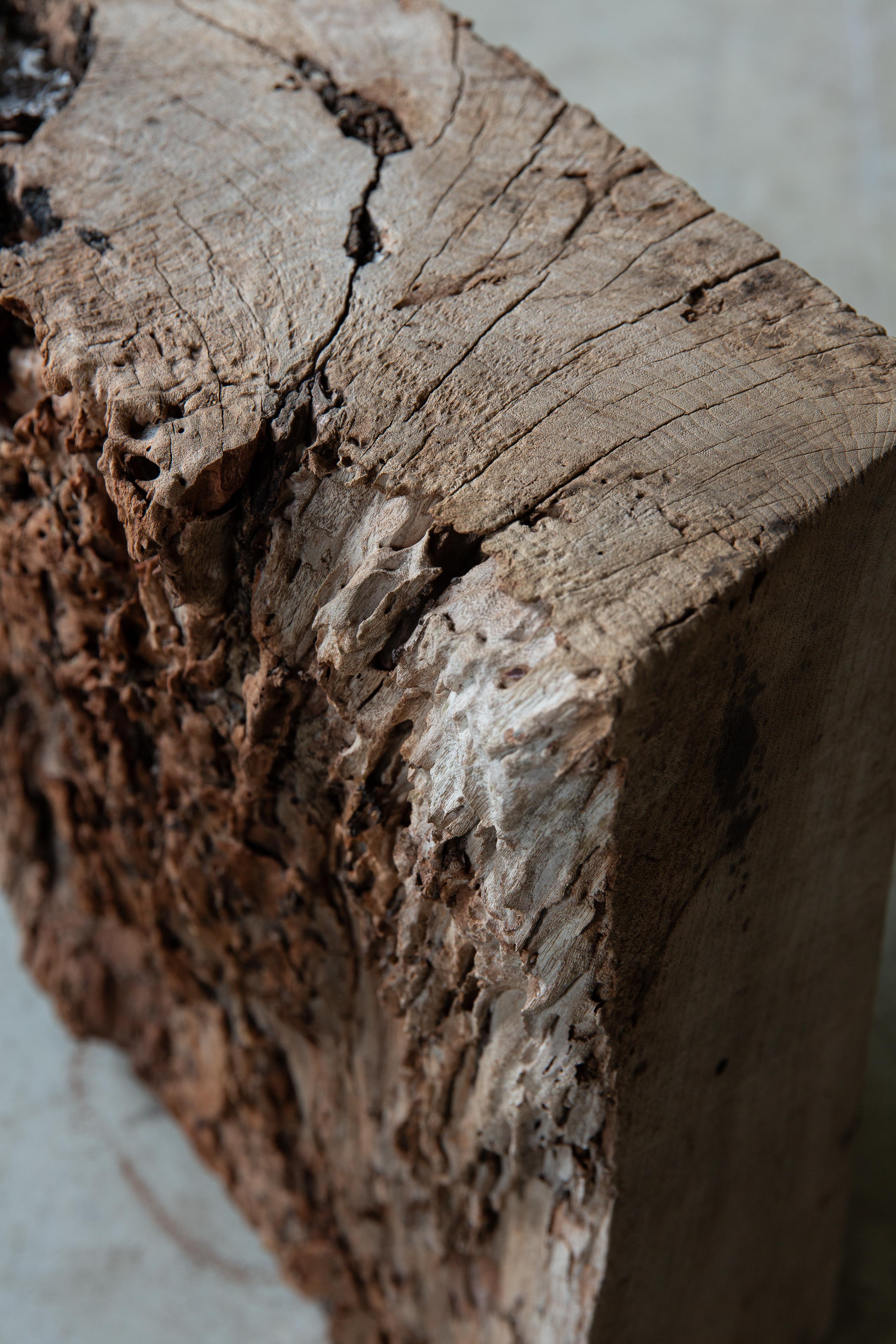 Japanese Keyaki zelkova wood slab - wabi sabi art piece objet, Dai display stand 11
