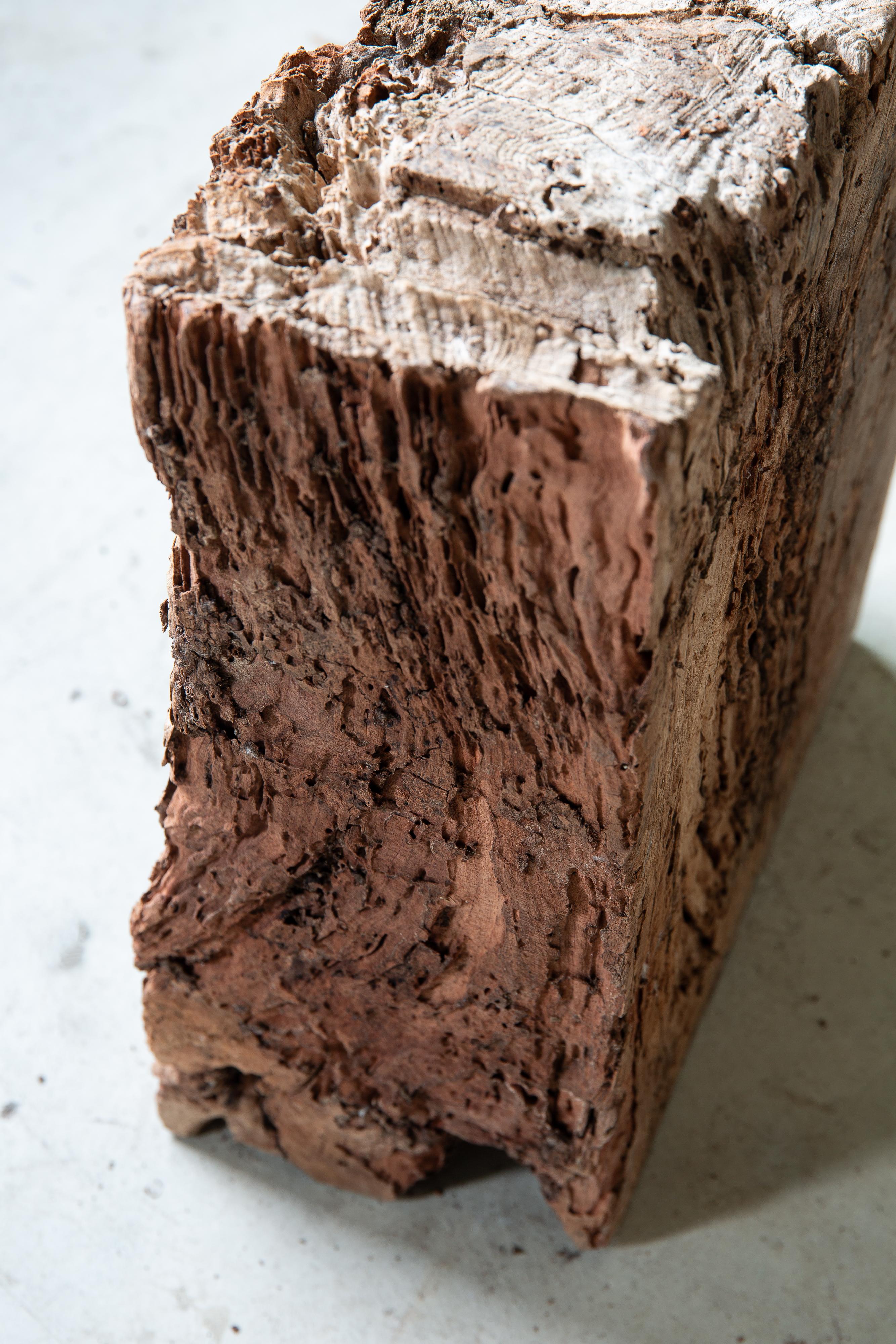Japanese Keyaki zelkova wood slab - wabi sabi art piece objet, Dai display stand 12