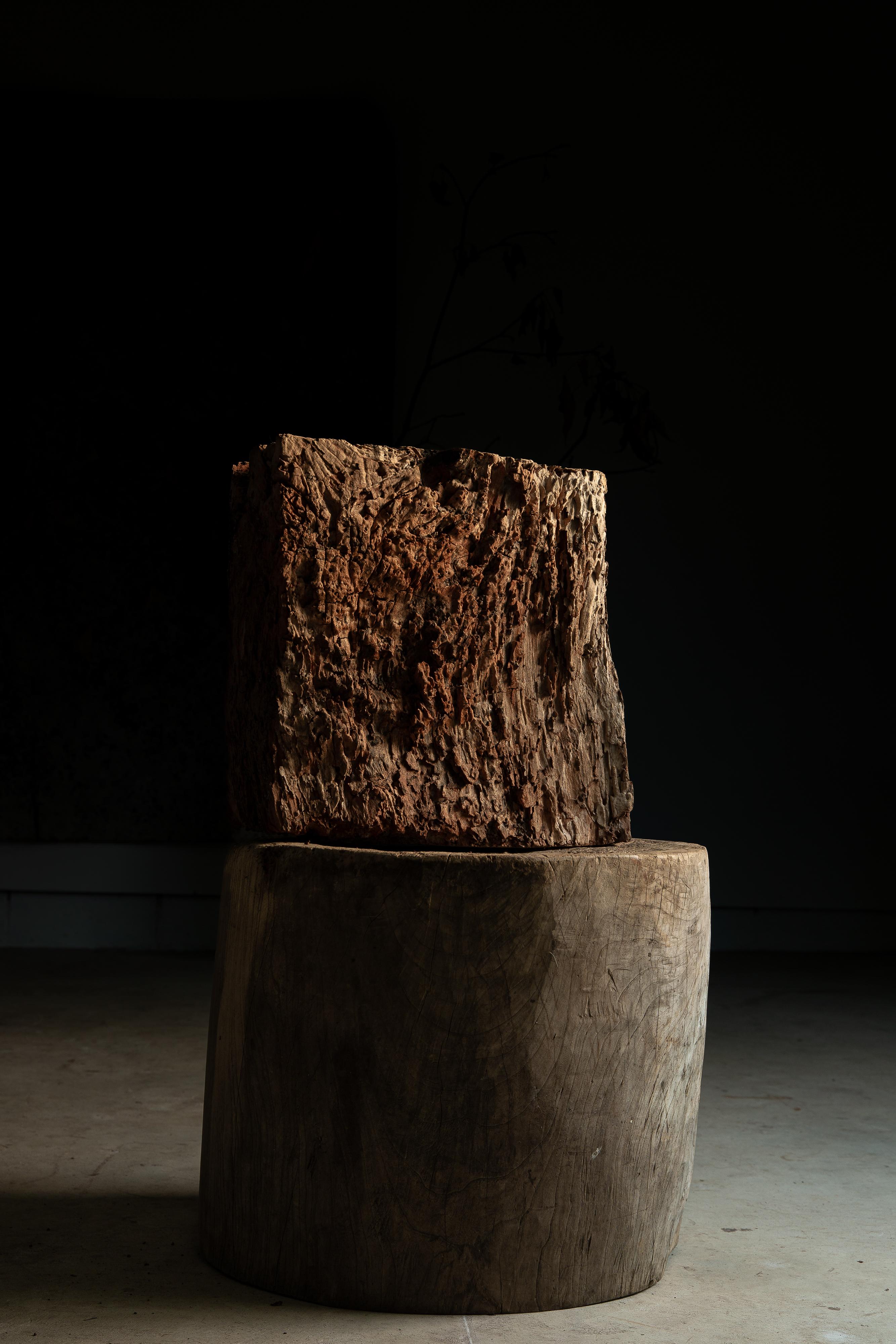 New finds from farmer's Kura (traditional style warehouse) in Ibaraki pref., Japan.

Antique Keyaki (Japanese Zelkova) wood slab with wabi sabi surface. Can be displayed as an art piece, as well as using as Dai (display stand), etc.
This is a