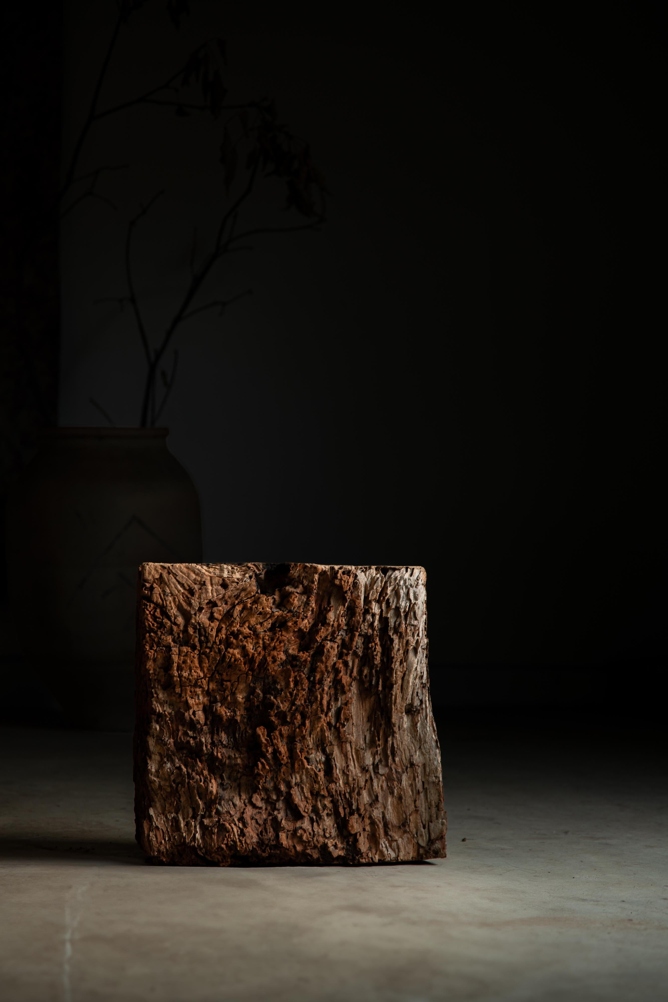 Primitive Japanese Keyaki zelkova wood slab - wabi sabi art piece objet, Dai display stand