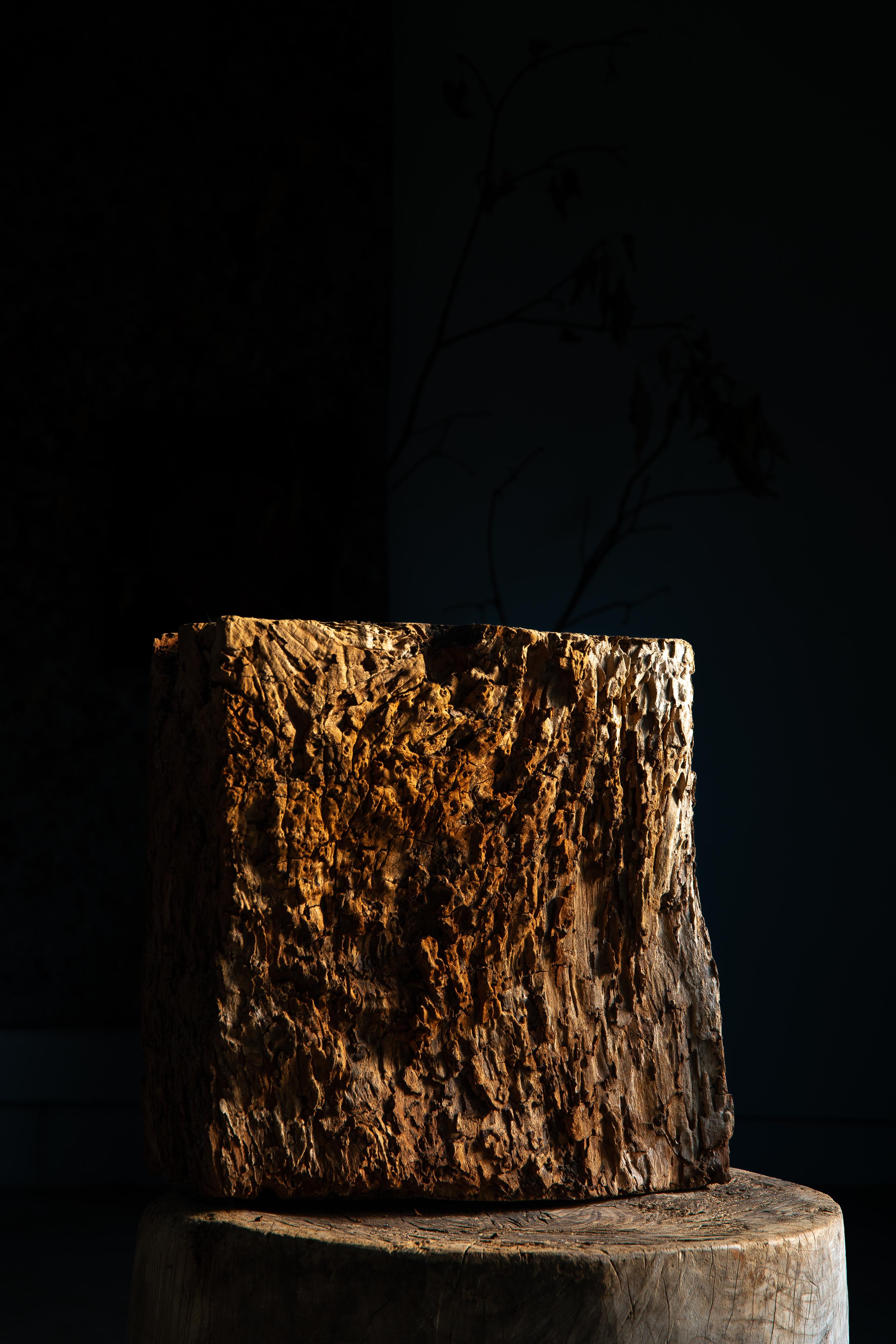 Japanese Keyaki zelkova wood slab - wabi sabi art piece objet, Dai display stand In Fair Condition In 常陸大宮市, JP
