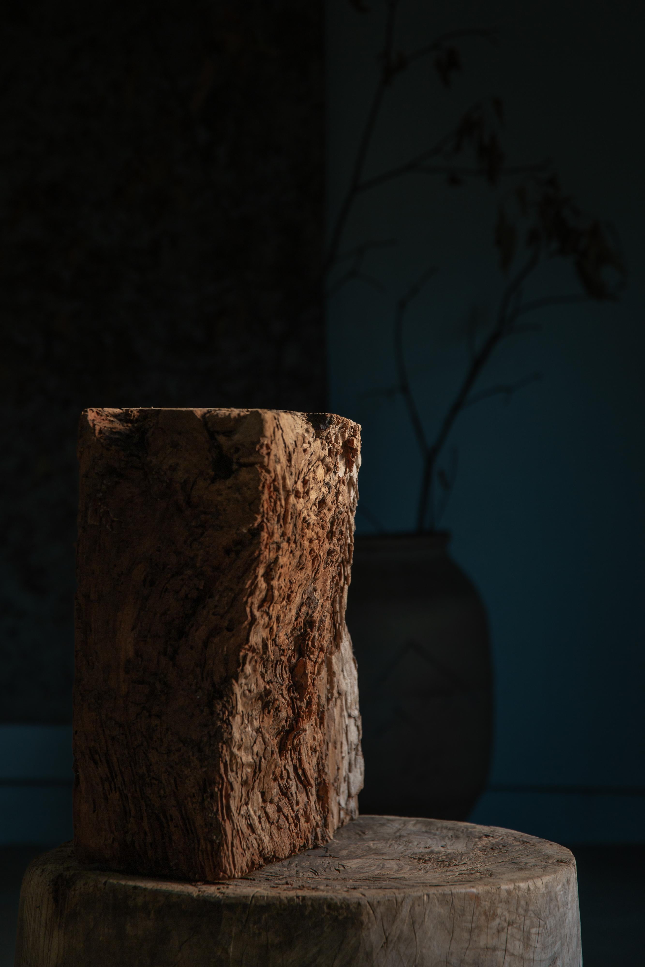 19th Century Japanese Keyaki zelkova wood slab - wabi sabi art piece objet, Dai display stand