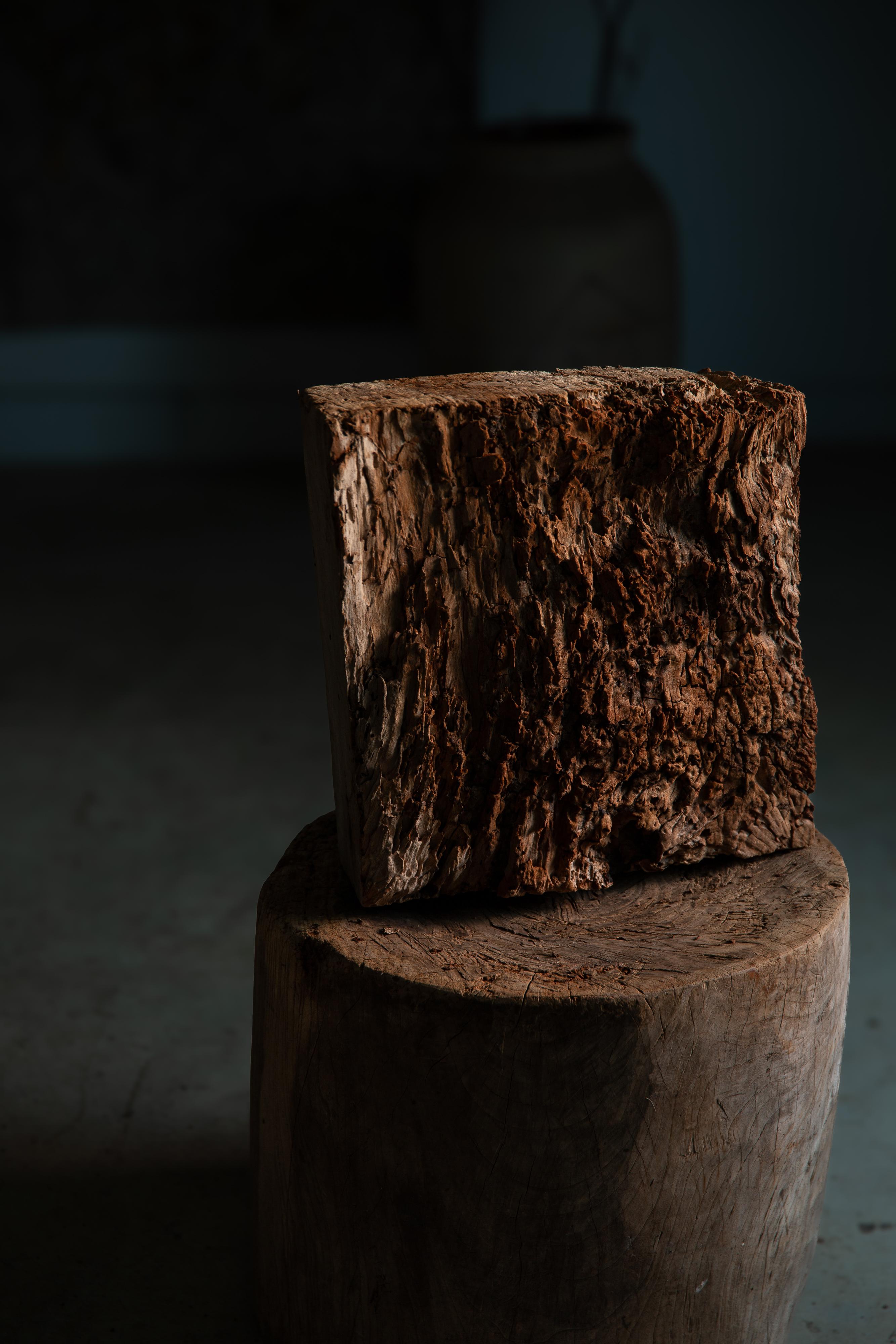 Wood Japanese Keyaki zelkova wood slab - wabi sabi art piece objet, Dai display stand