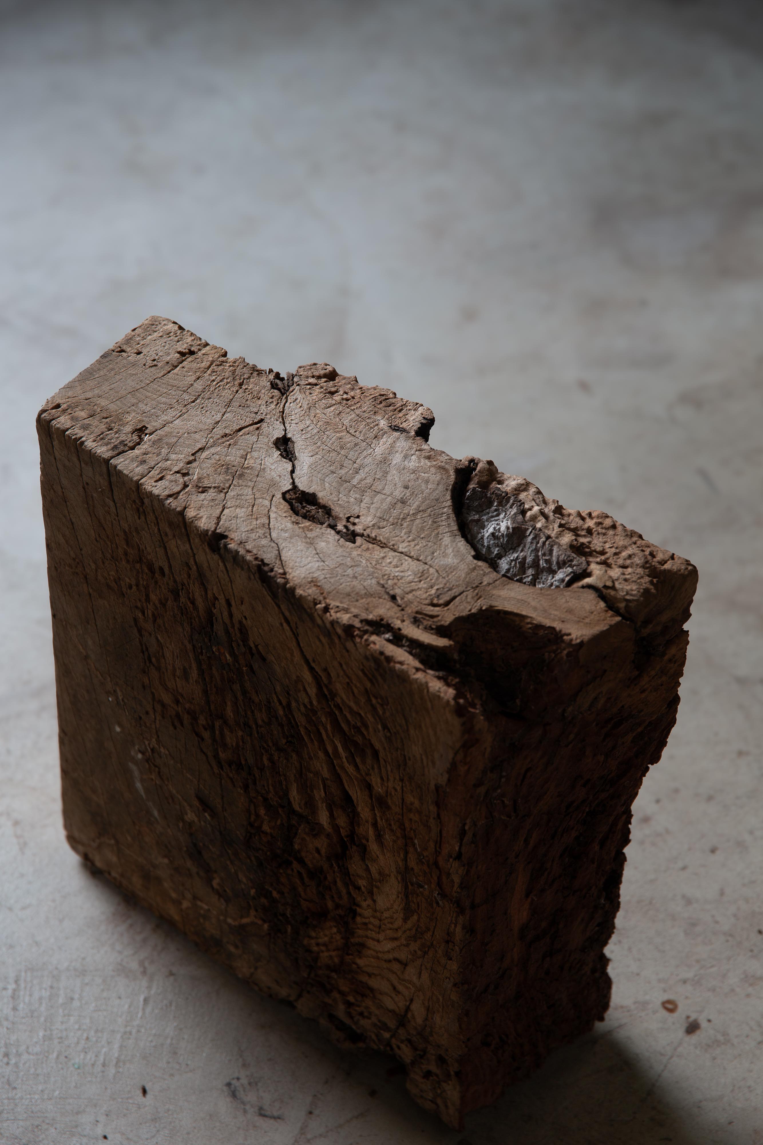 Japanese Keyaki zelkova wood slab - wabi sabi art piece objet, Dai display stand 3