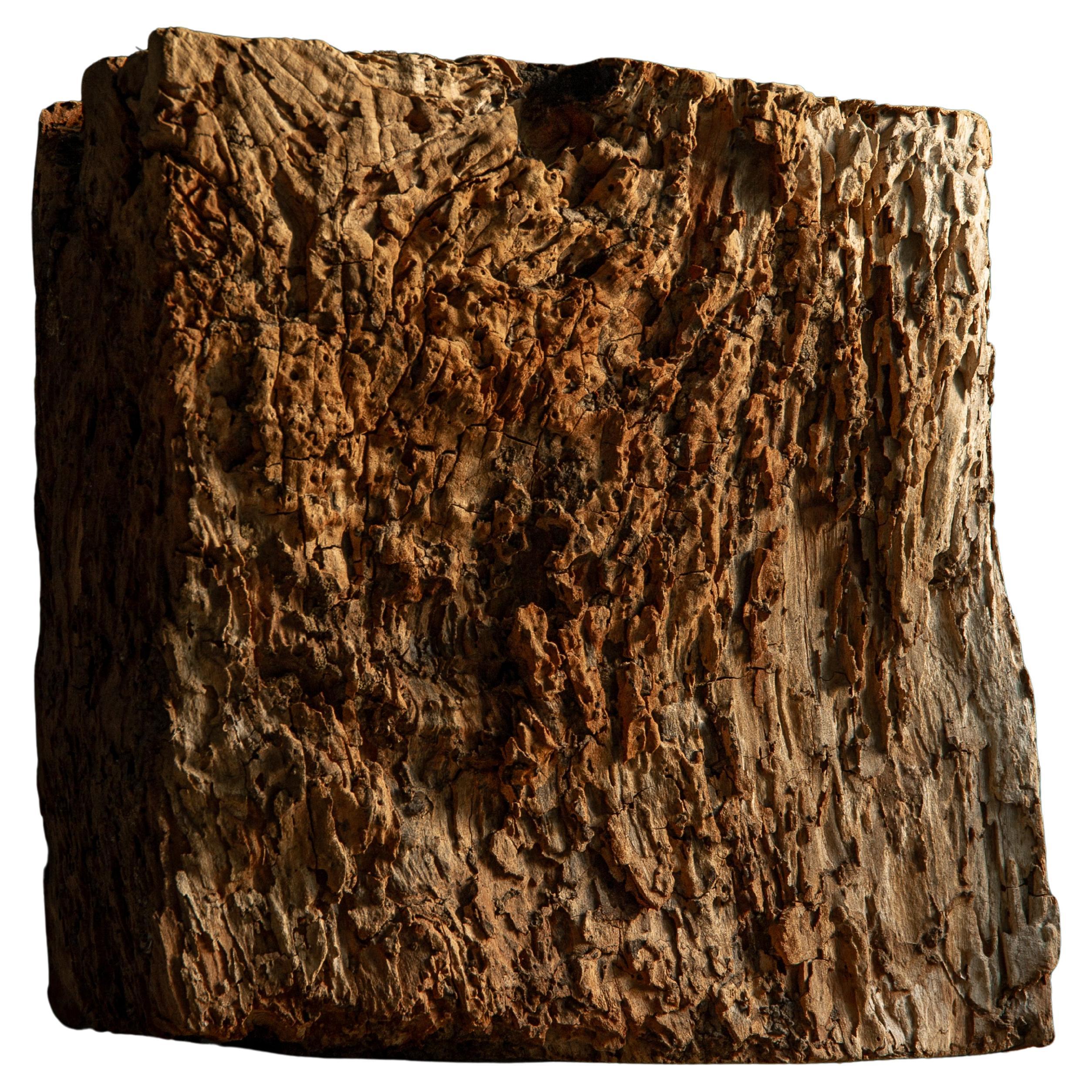 Japanese Keyaki zelkova wood slab - wabi sabi art piece objet, Dai display stand