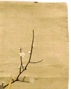 Japanese Kos’su Rug, Early 20th century