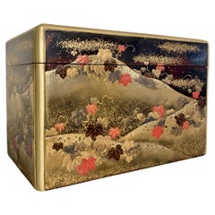 Antique Japanese Lacquer Box, Kobako, "The Ivy Way", Edo Period, 19th Century, Japan