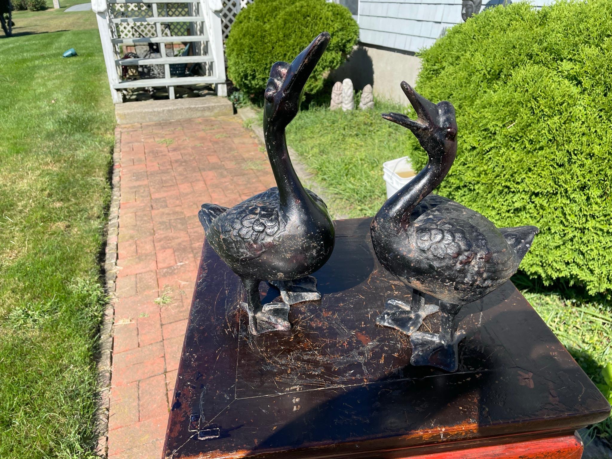 Japanese Large 1920s Pair Garden Ducks 11