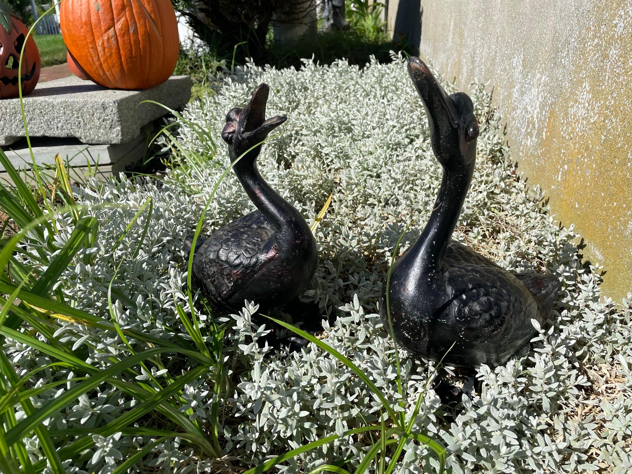 Cast Japanese Large 1920s Pair Garden Ducks