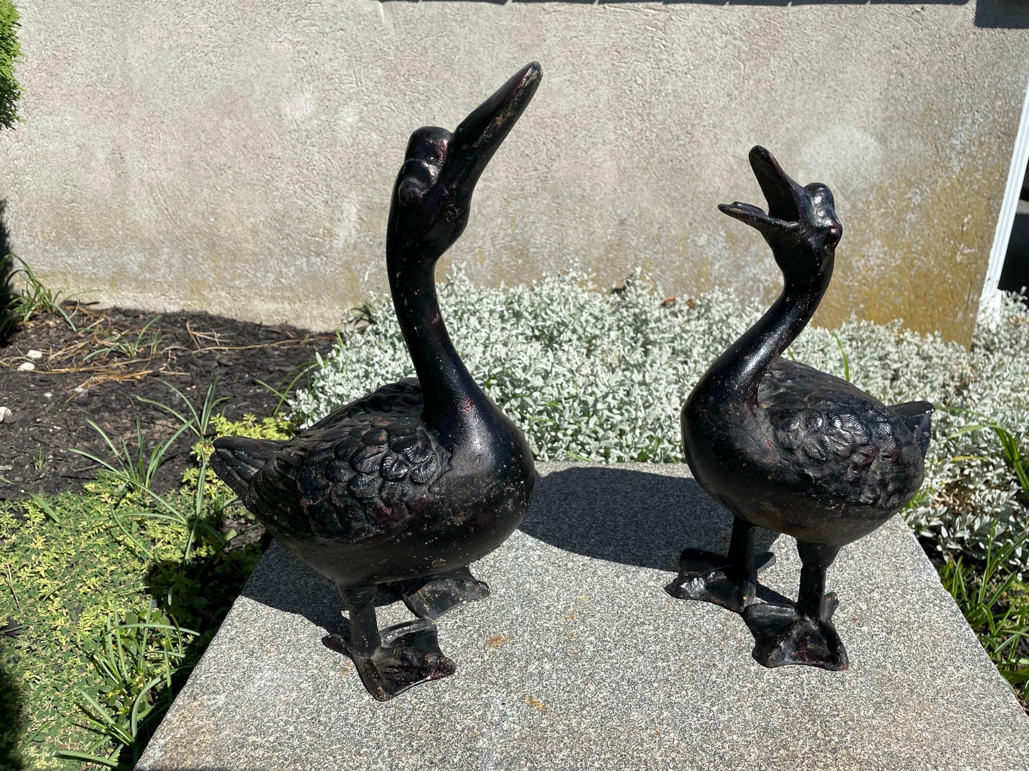 Japanese Large 1920s Pair Garden Ducks In Good Condition In South Burlington, VT