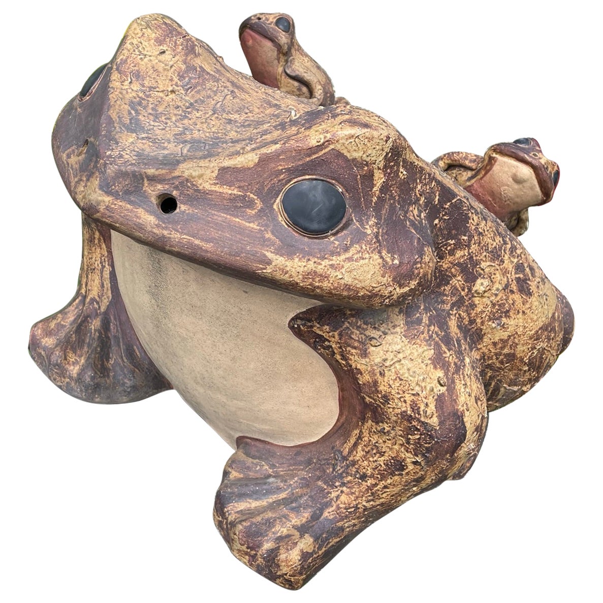 Japanese Massive Old Garden Frog and Family 8