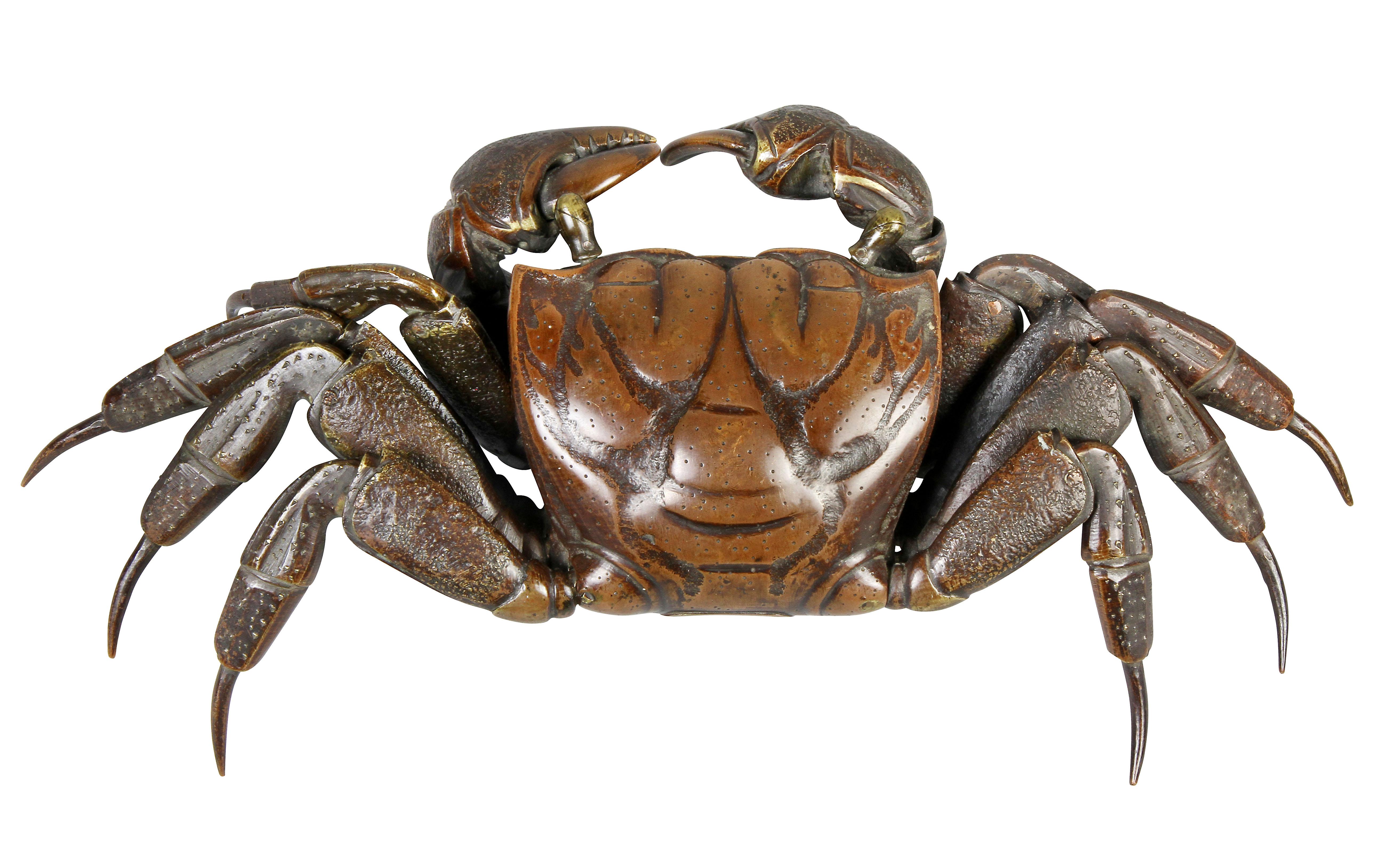 samurai warrior crab