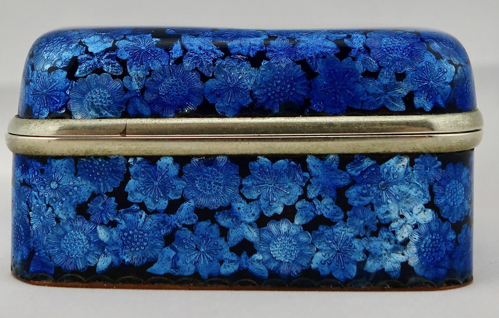 19th Century Japanese Meiji Ginbari Cloisonne Finely Decorated Floral Box