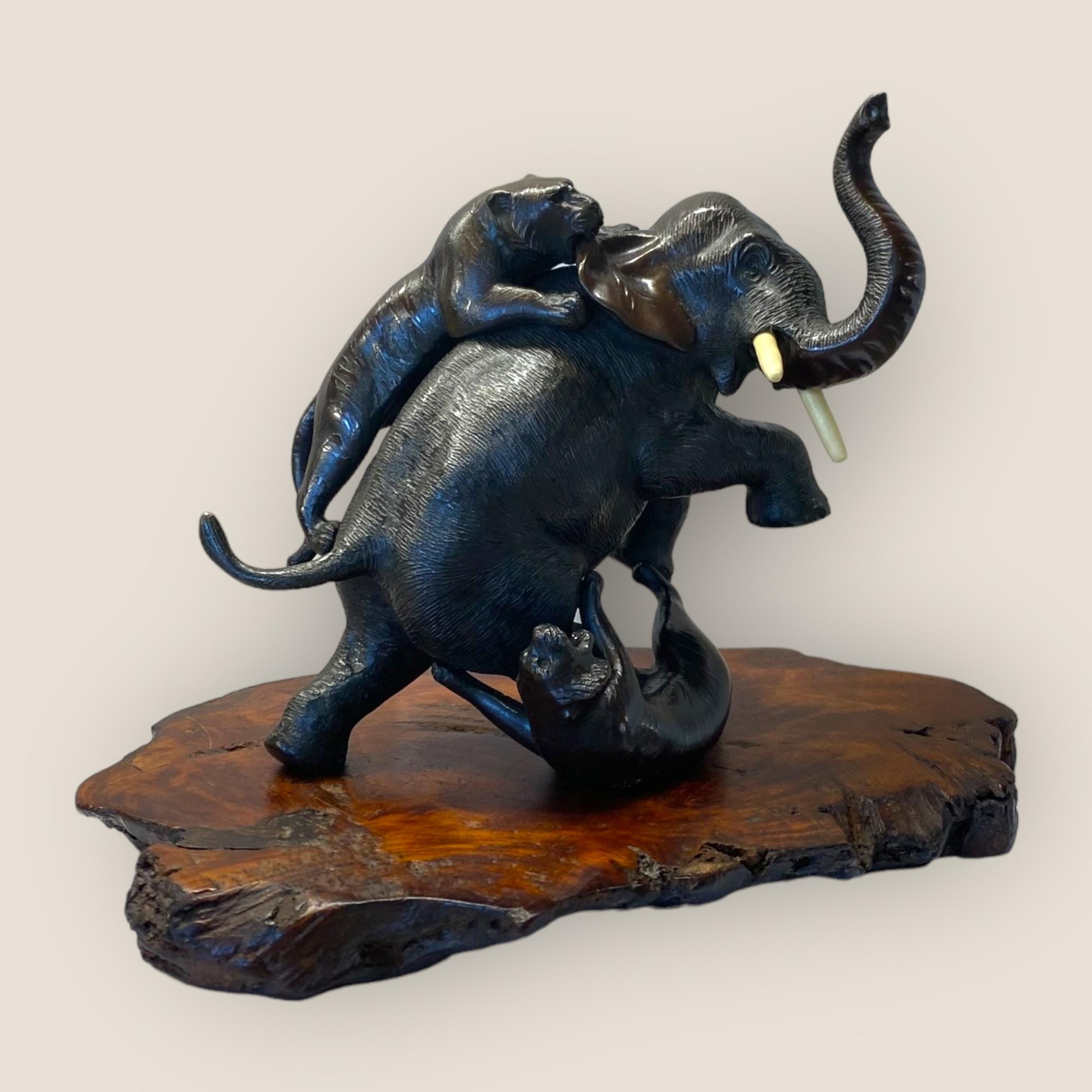 Éléphant japonais en bronze de la période Meiji combattant des tigres par Genryusai Seiya.
 
Genryusai Seiya :
Genryusai Seiya était un maître artisan responsable d'un atelier spécialisé dans les produits d'exportation de la plus haute qualité. Les