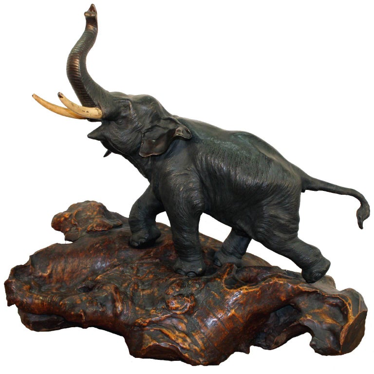 Japanese Meiji Period Bronze Elephant Sculpture on Burlwood Base For