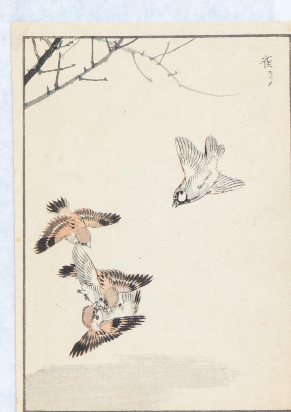 Kono Naotoyo Bairei (1844 - 1895) Bairei Hyakucho Gafu
11 houtsneden van vogels - drie met elk twee stukjes tape op papier geplakt. B ca. 20.5 x 14.5 cm pst. / alle niet ingelijst
ca. 20.5 x 14.5 cm pst. / alle niet ingelijst.