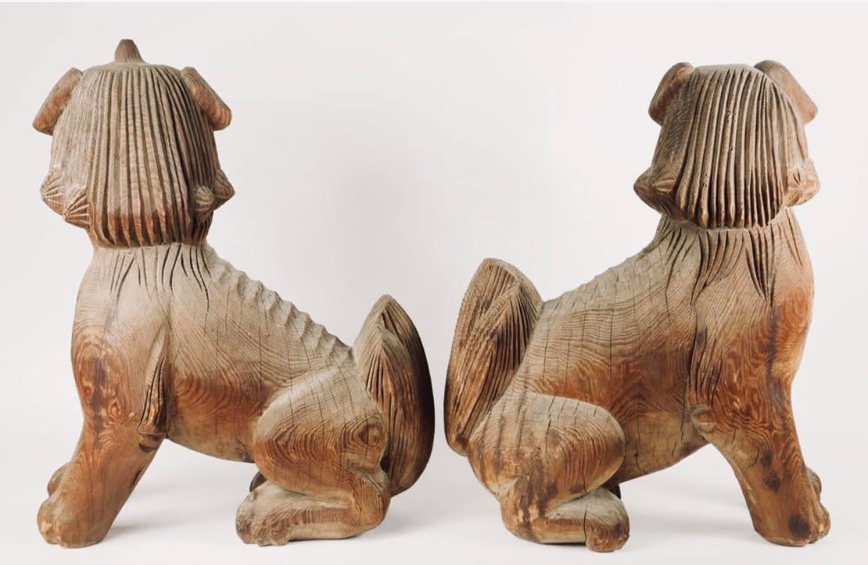 Figurines d'entrée de temple shintoïste en bois sculpté de la période Momoyama, en forme de chiens-lions royaux assis dans une pose traditionnelle. Les pièces ont fait l'objet de travaux de conservation pour les stabiliser. Ils sont sculptés dans du