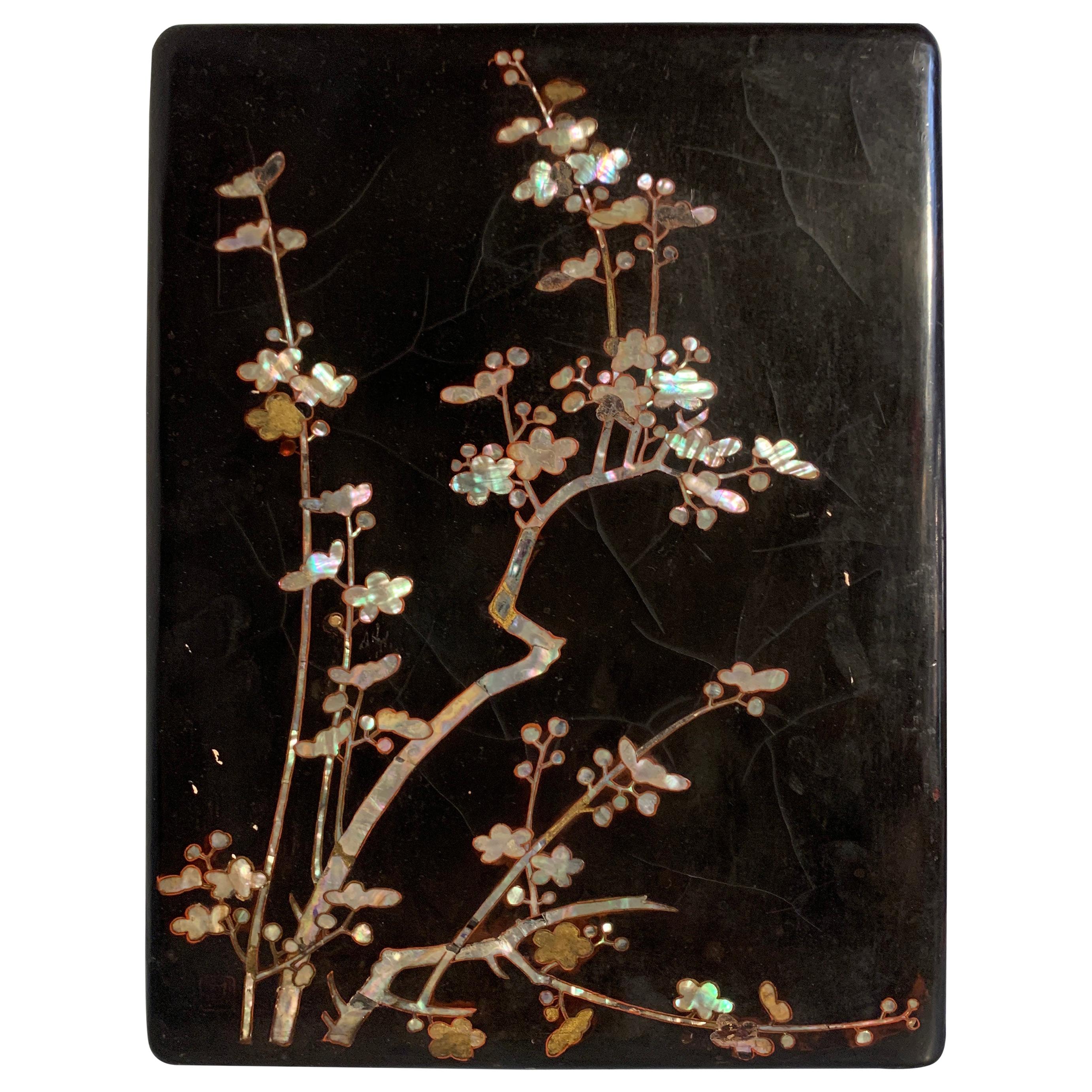Japanese Momoyama Period Black Lacquer and Mother of Pearl Box, 16th Century For Sale
