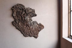 Escultura monumental japonesa en madera con nudos, para pared