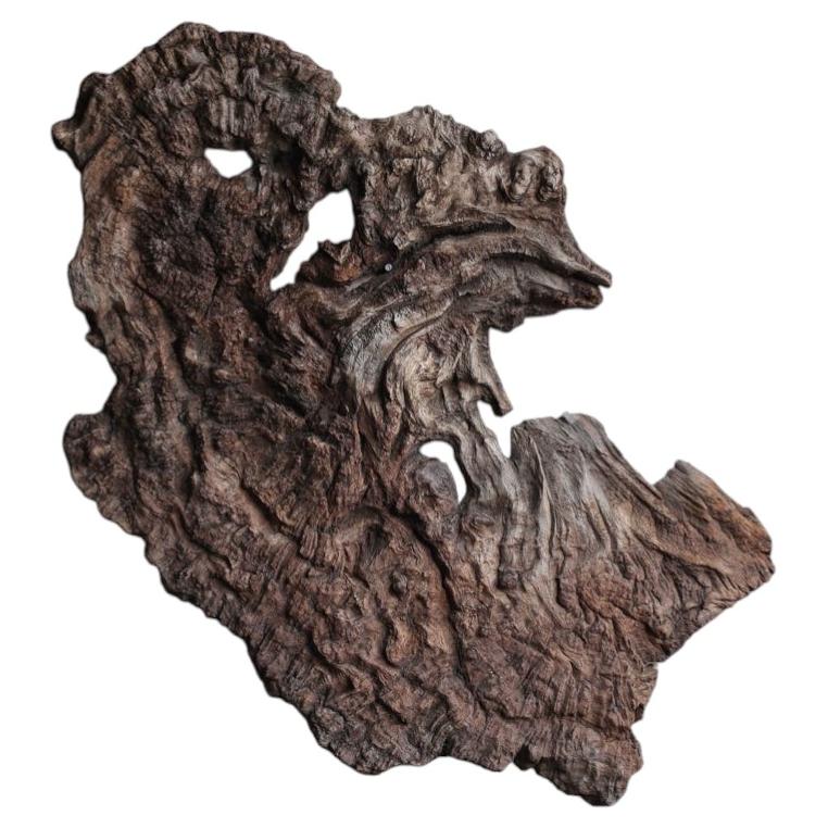 Japanese Monumental Burl Wall Sculpture