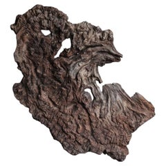 Escultura monumental japonesa en madera con nudos, para pared
