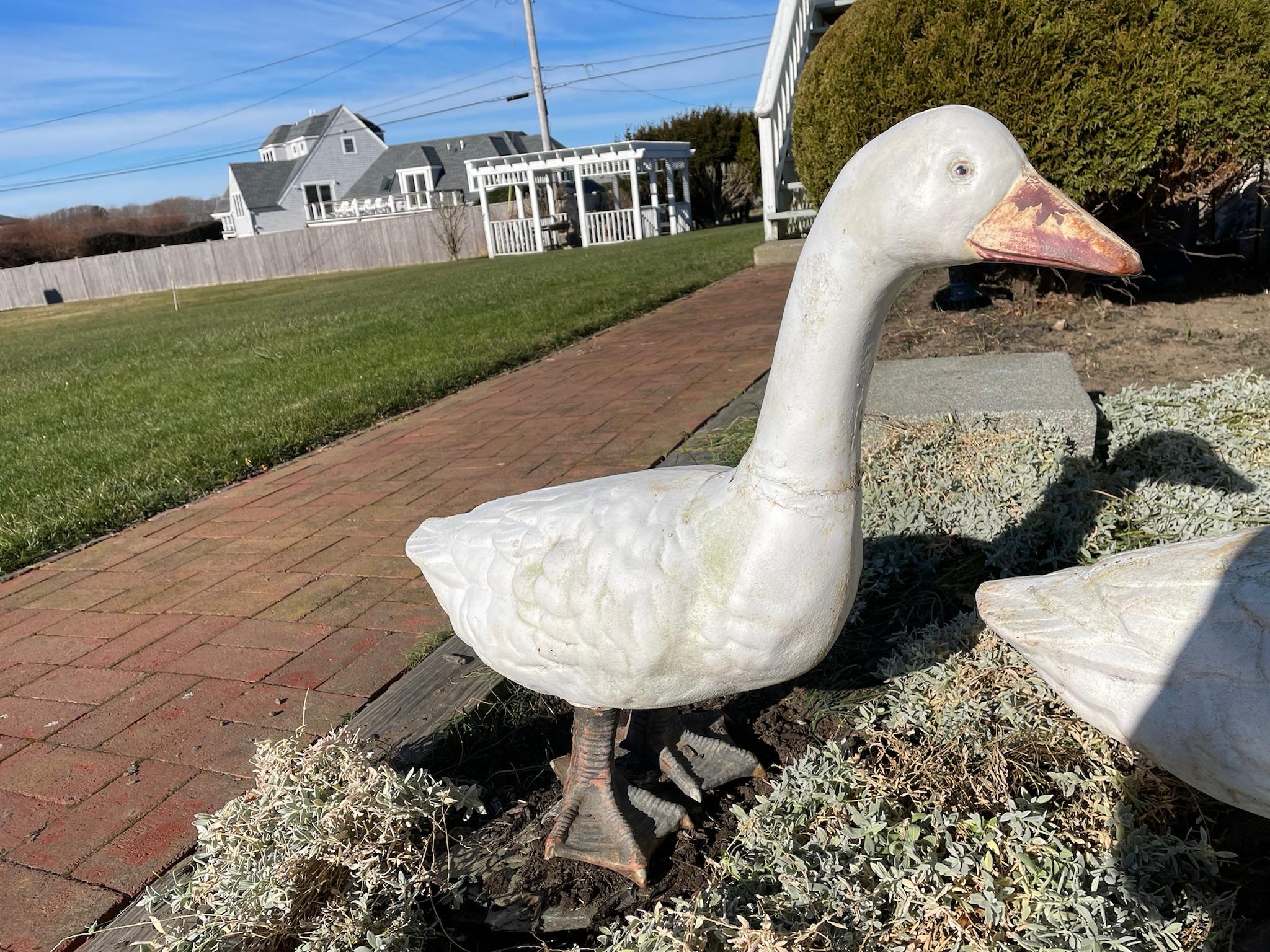 Japanese Huge Pair Hand Painted Garden Swans For Sale 4