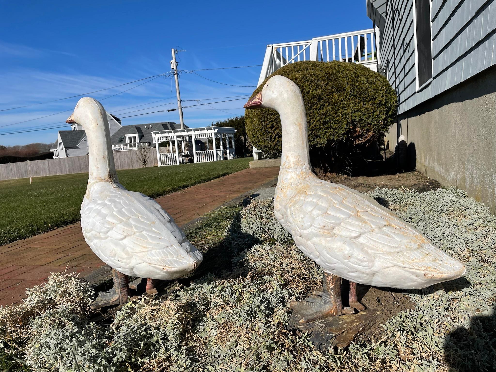 Japanese Huge Pair Hand Painted Garden Swans For Sale 8