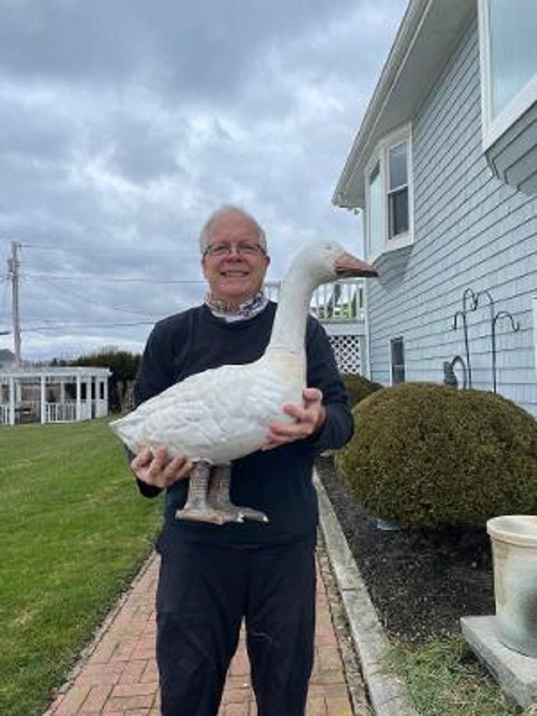 garden swans for sale