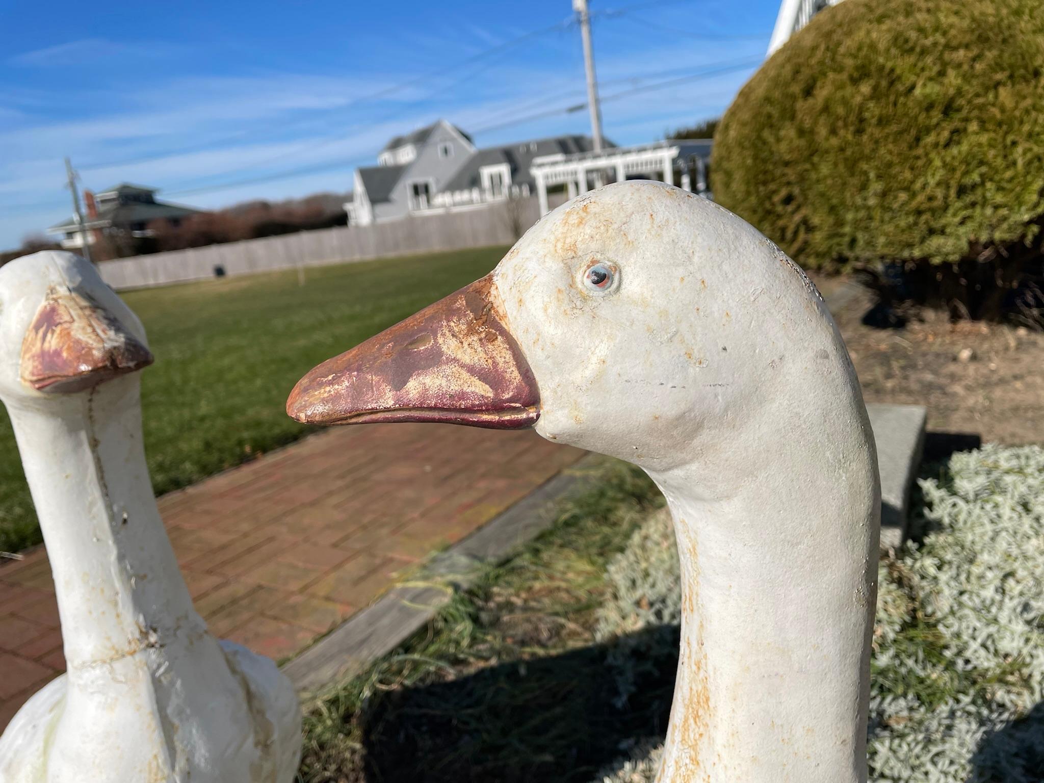 Cast Japanese Huge Pair Hand Painted Garden Swans For Sale