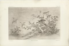 Japanese Nature Scene Prints: Delicate 19th-Century Botanical & Bird Etchings
