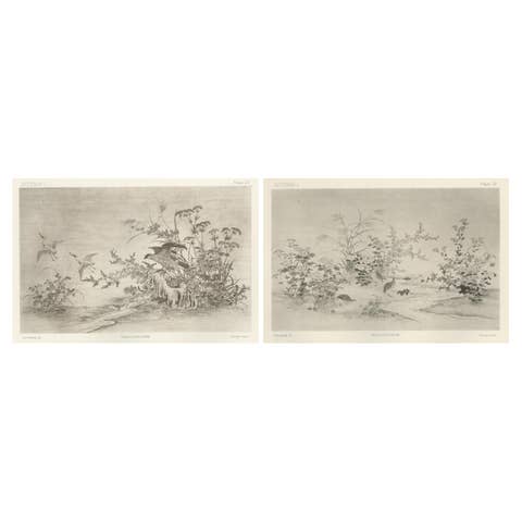 Japanese Nature Scene Prints: Delicate 19th-Century Botanical & Bird Etchings