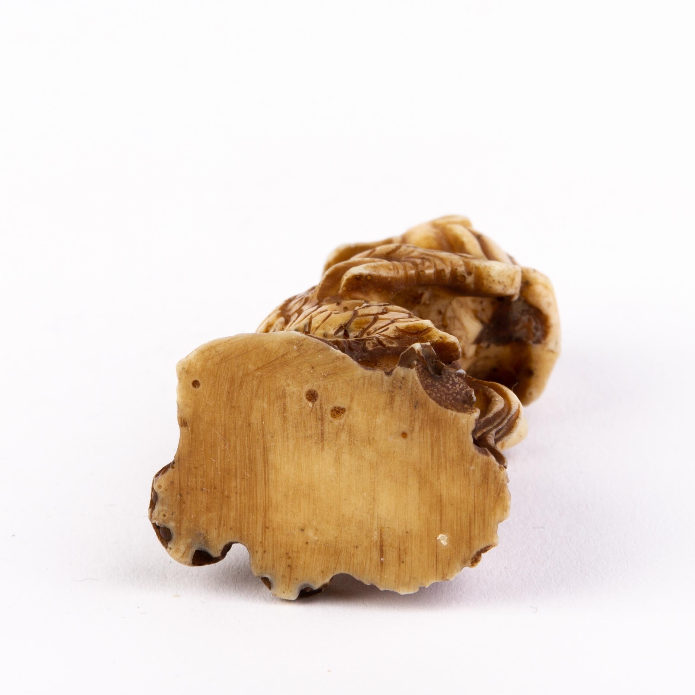 Bois cerf Netsuke japonais Inro d'un dragon en vente