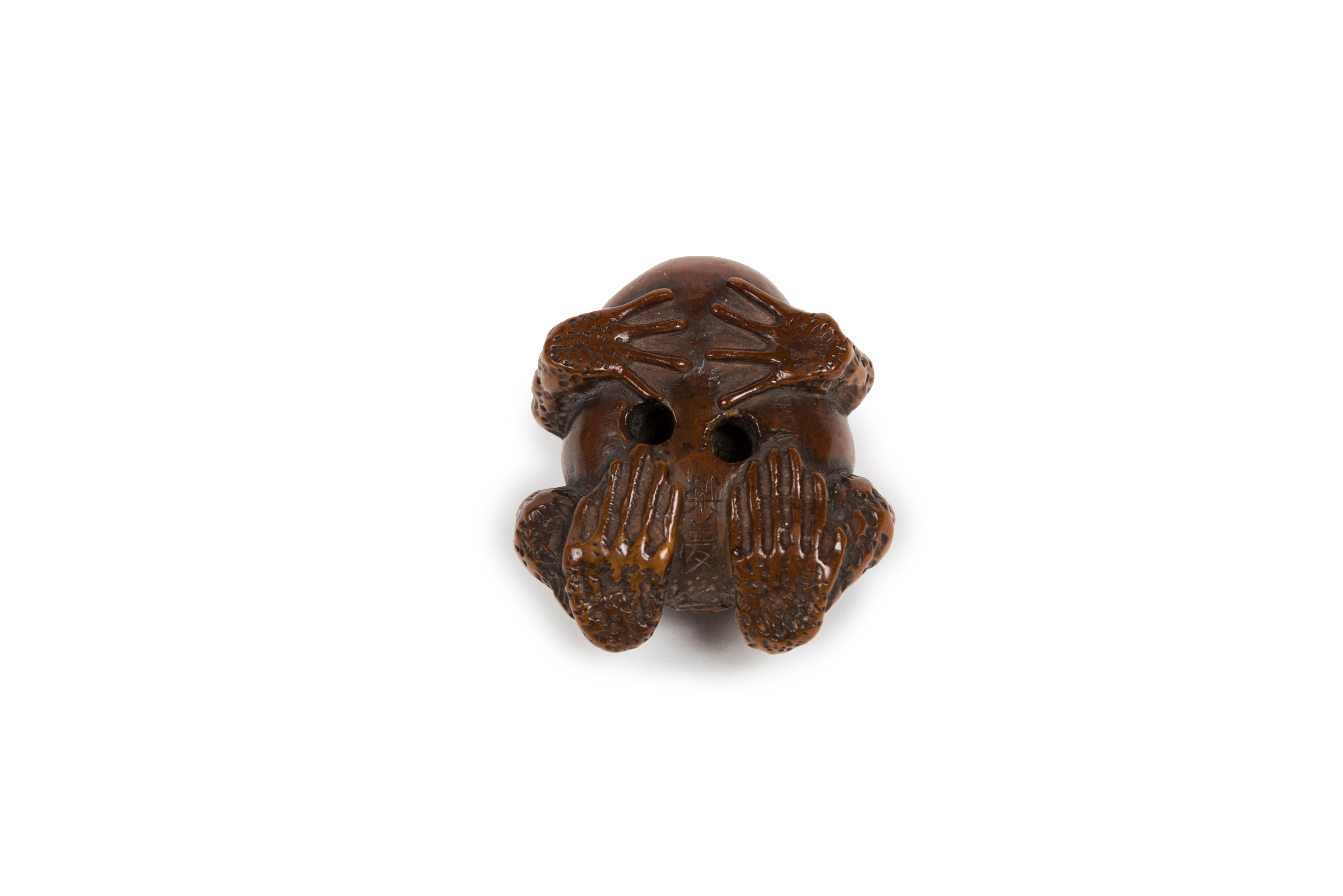Netsuke of a wooden toad with its throat swollen. Made entirely in boxwood, the skin is treated with detail, the naturalistic pause suggests that the toad is croaking, the smooth texture of the goiter contrasts with the uneven sensation on the rest