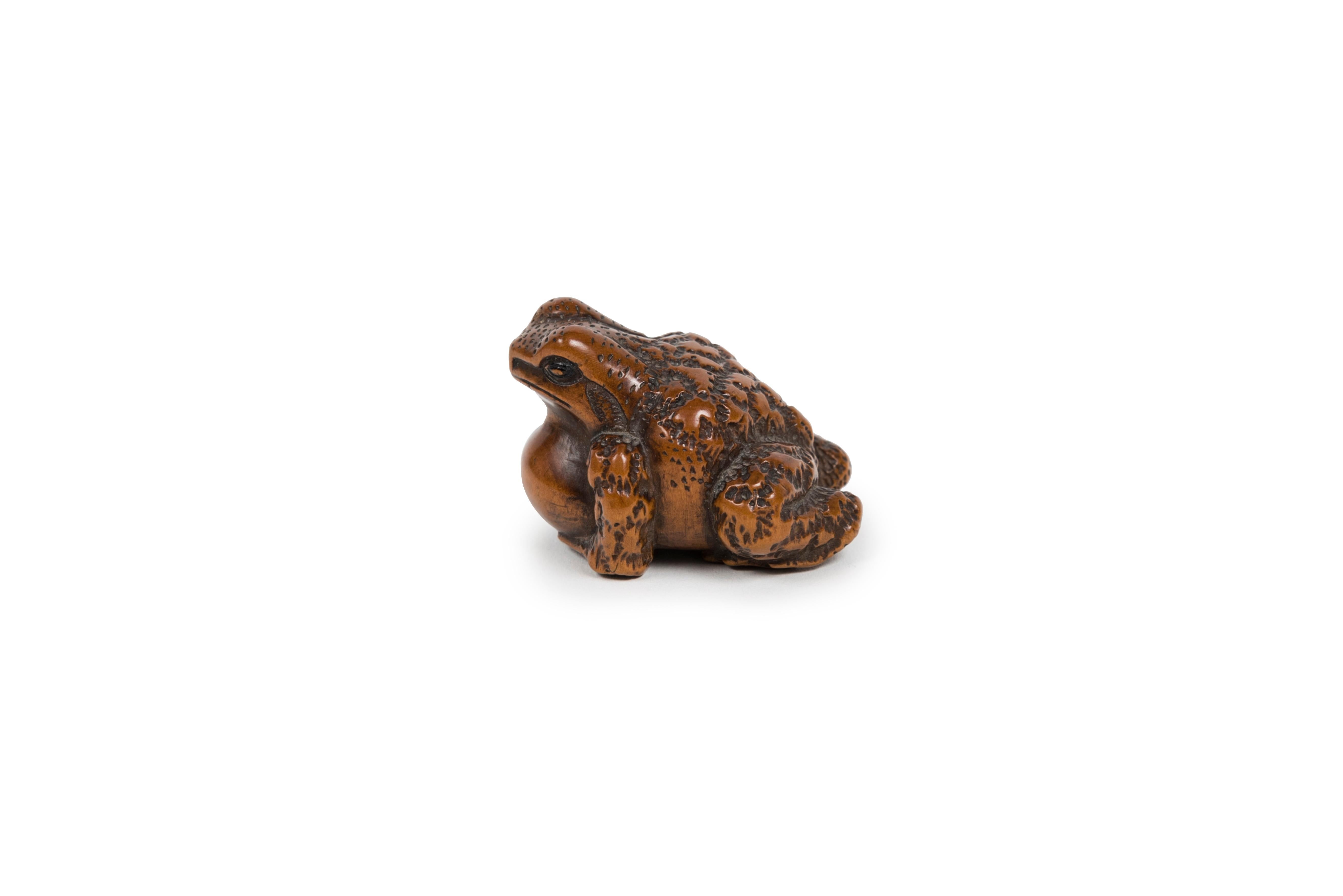 Carved Japanese Netsuke of a croaking Toad in boxwood For Sale