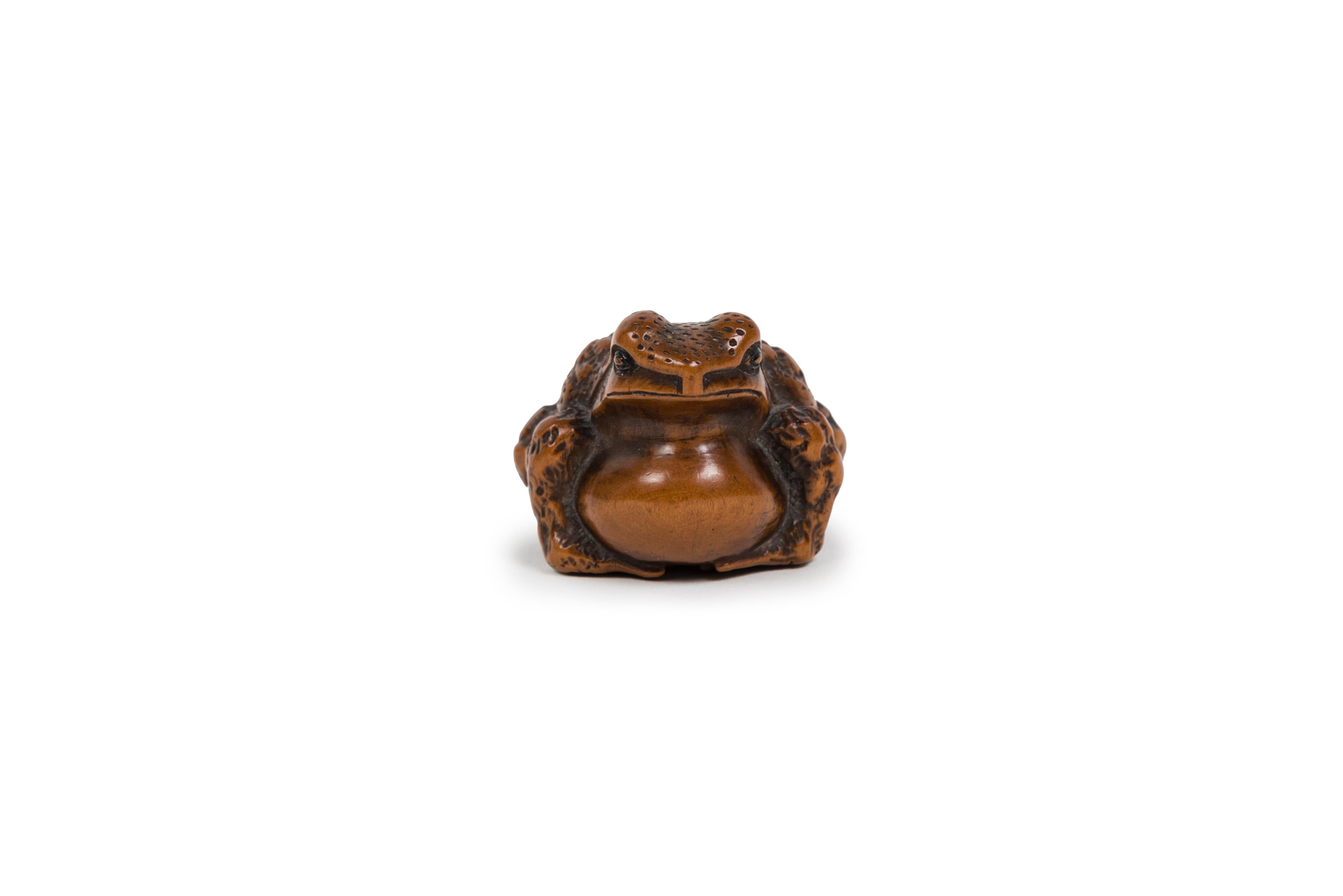 Boxwood Japanese Netsuke of a croaking Toad in boxwood For Sale