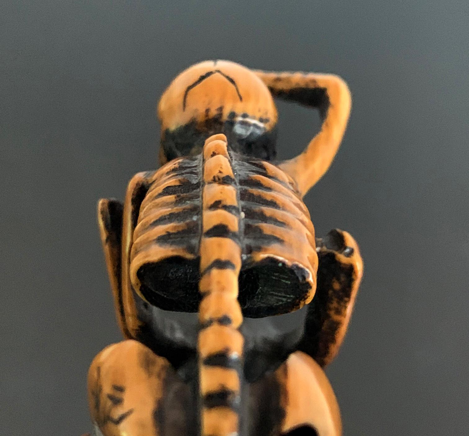 Wood Japanese Netsuke Skeleton and Wolf Meiji Period