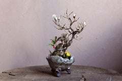 Japanischer Neujahrs-Containergarten von Yumiko Kuwahata / Bonsai / wabi-sabi