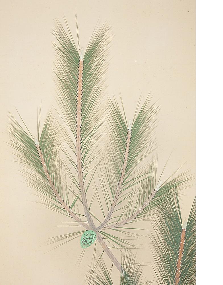 Japanese Nihonga Painting 20th Showa/Taisho Scroll Pine Tree and Bird For Sale 5