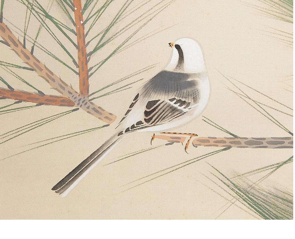 Japanese Nihonga Painting 20th Showa/Taisho Scroll Pine Tree and Bird For Sale 2