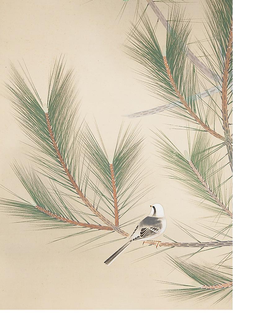 Japanese Nihonga Painting 20th Showa/Taisho Scroll Pine Tree and Bird For Sale 3